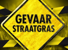 Gevaar straatgras