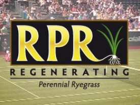 THUMB Rosmalen RPR 