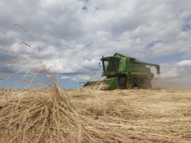 Barenbrug combine