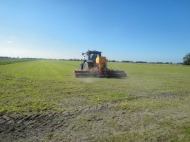 Barenbrug Doorzaai