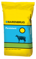 Packshot_Persistent_2022.png