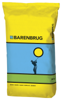 Bar Fescue