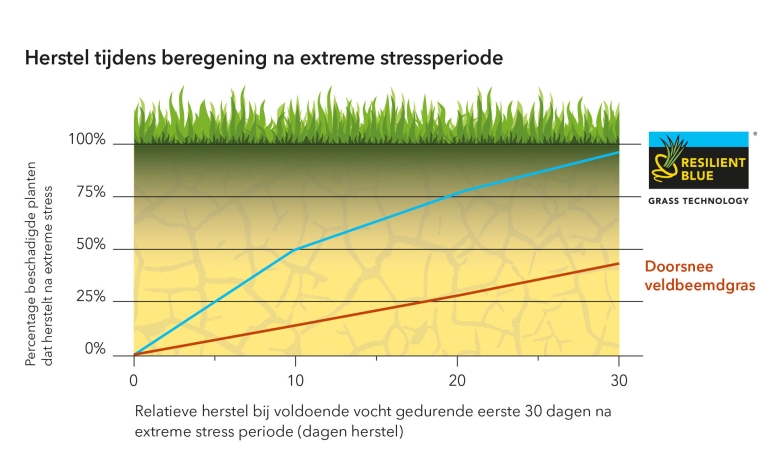 Herstel tijdens beregeningsperiode