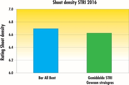 Bar All Bent shoot density