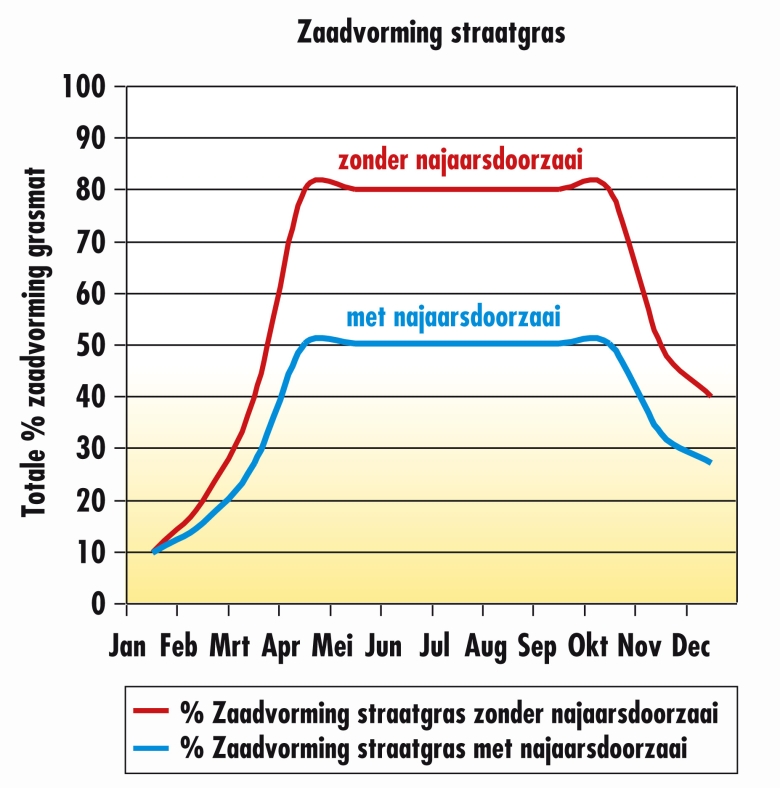 Zaadvorming straatgras