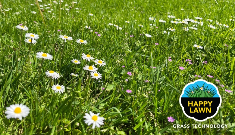 Happy Lawn