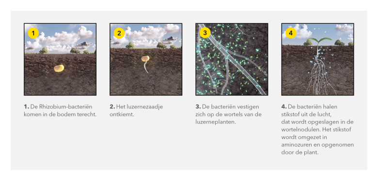 Afb_Hoe_werkt_YJ_Nitrogenerator_NL_2022.png
