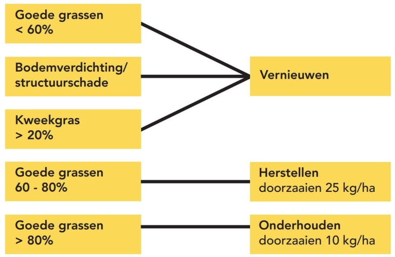 keuzeschema graslandvernieuwing