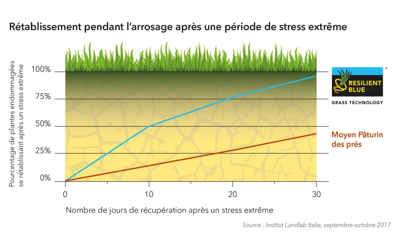 Graph-RB-After-stress-FR-2024
