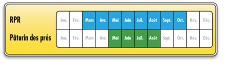 RPR_PoaPrat_FR_overview_seeding