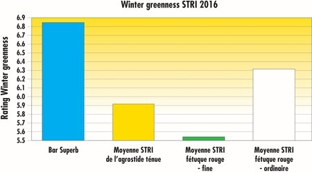 STRI2016_BarSuperb_WinterGreenness_FR