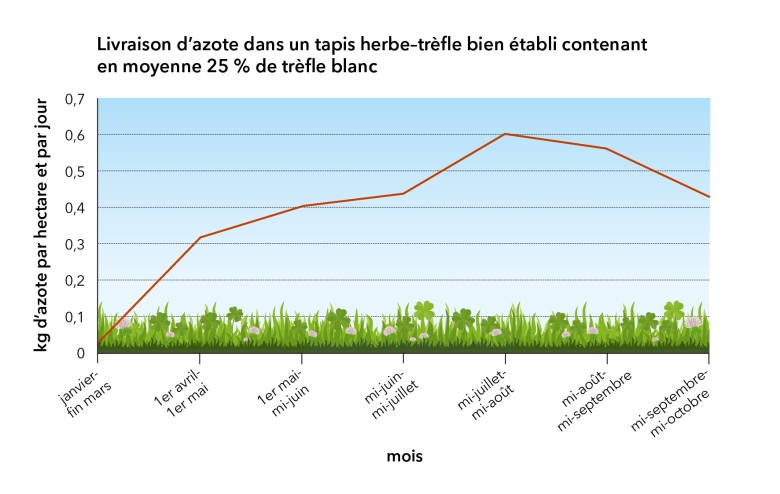 Approvisionnement en azote