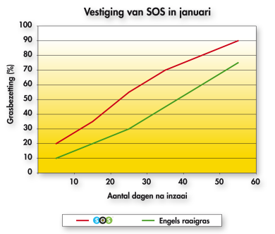 SOS_Tabel_Vestiging_Januari-24.png