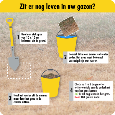 Zit er leven in uw gazon
