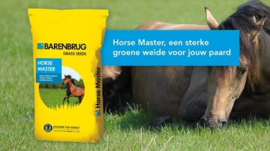 Horse master