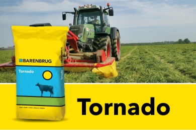tornado 3
