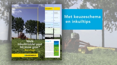 Bonsilage folder