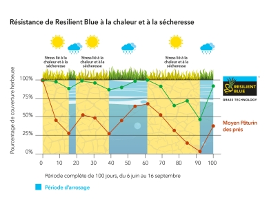 Graph conditions extrêmes