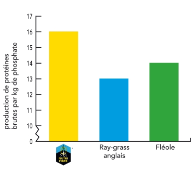 Graph herbe minerale