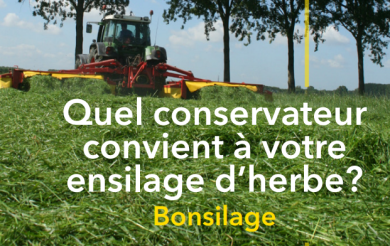 Ensilage d'herbe