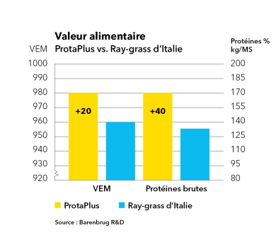 Valeur alimentaire ProtaPlus