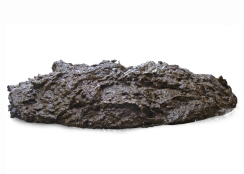 NutriFibre