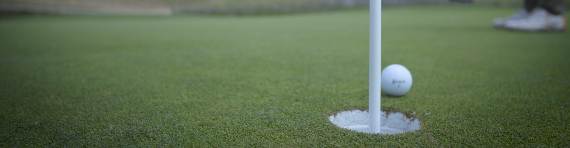 RyderCup Sony