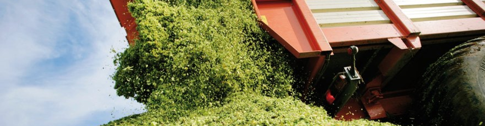 Large_Bonsilage_mais_HR.jpg