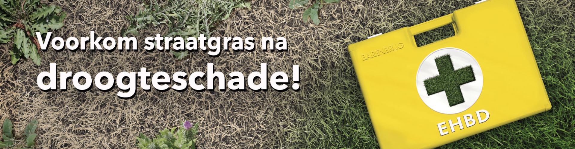 HEADER_EHBD_Weeds-500-v2.jpg