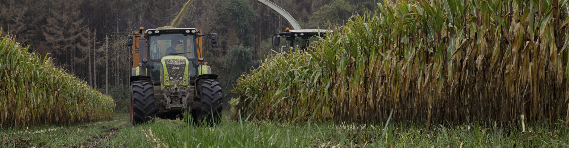 Proterra Maize