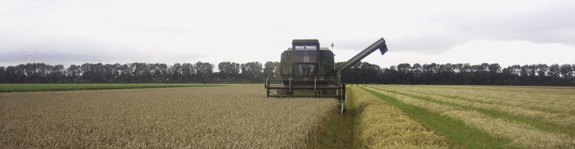Proterra Cereals