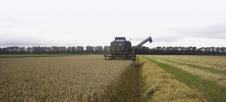 Proterra Cereals