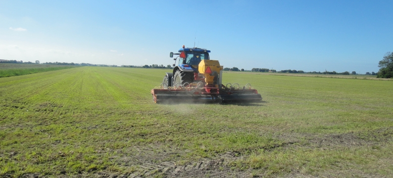 Barenbrug Doorzaai
