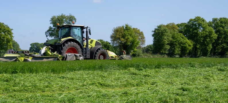 Bonsilage Forte 2.0.