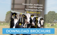 Download_BonsilageFit_folder_NL.jpg