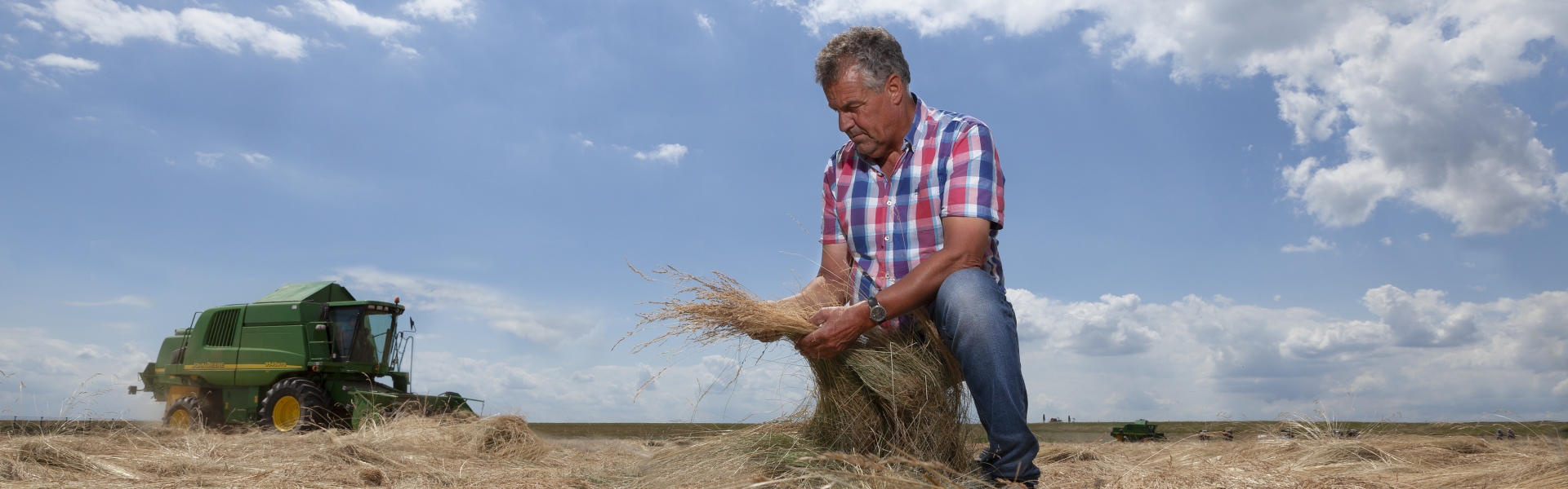 Graszaadteeelt