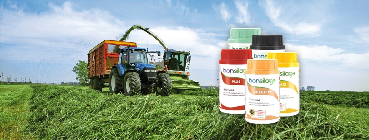 Bonsilage actie