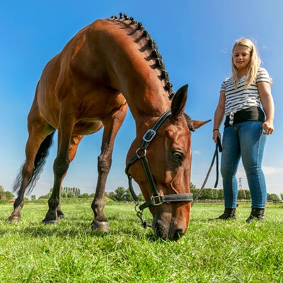 Paard en vrouw