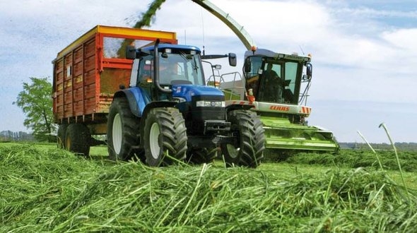 benut je suikerrijke voorjaarsgras optimaal