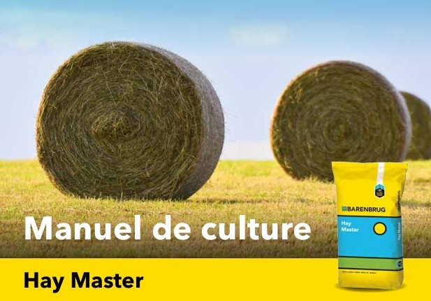 Manuel de culture hay master