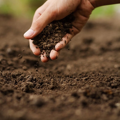 Soil